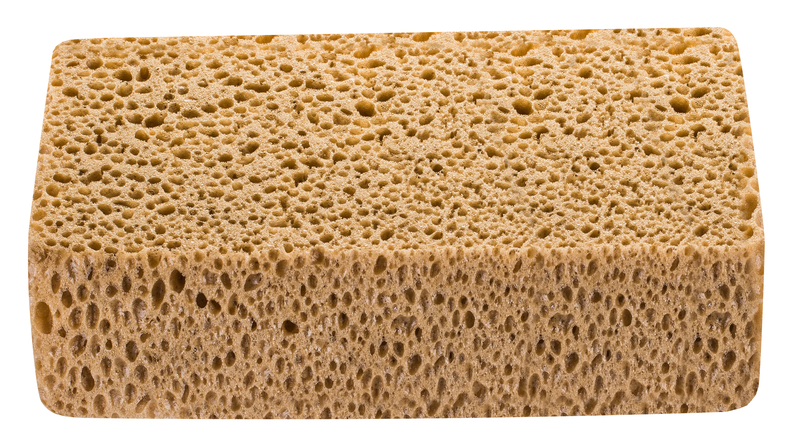 ce521729b0556e59c238cf0dc56320b5